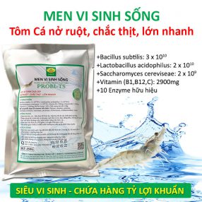 Vi sinh đường ruột cho tôm - Công Ty TNHH Thương Mại Trung Việt